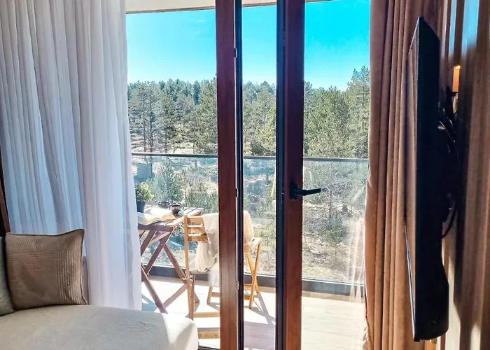 Borovi Deluxe Appartement *